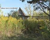 Прокуратура заинтересовалась ситуацией в Болховском доме-интернате, а сотрудник ГИБДД получил срок за превышение полномочий — новости за 90 секунд