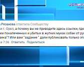 В Орле прошло заседание, где зоозащитники и чиновники обсудили введение поправок об усыплении бездомных собак