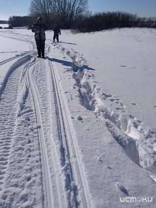 В урочище Валов лес орловские браконьеры убили несколько животных