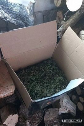 В Залегощенском районе полицейские изъяли у местного жителя более килограмма марихуаны