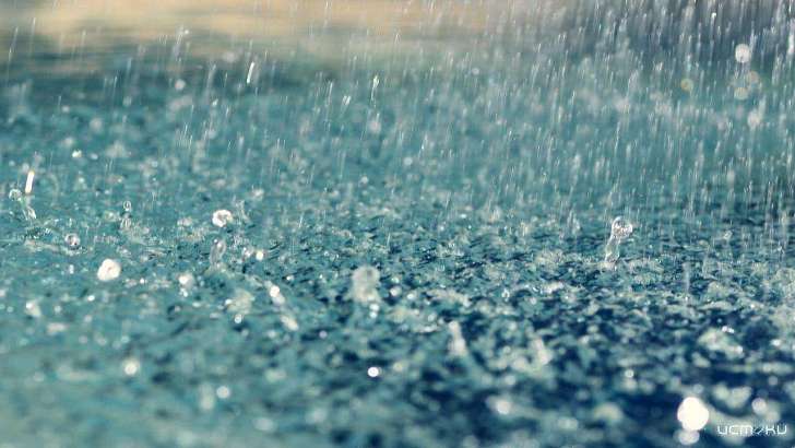 Воскресенье будет холодным и дождливым 