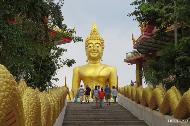 Туризм из Орловской области растёт: интерес к азиатским странам увеличился на 65 %