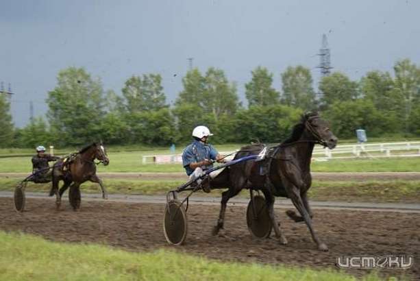 На орловском ипподроме нашли нарушения 