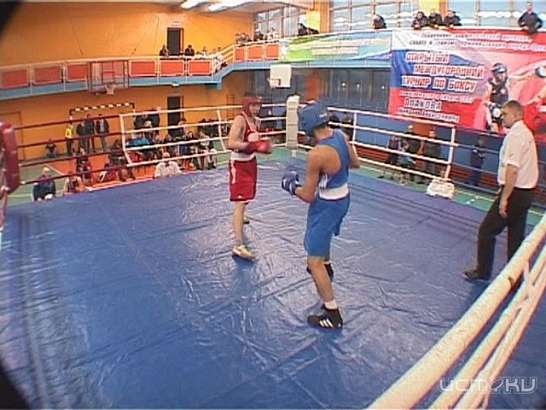 Турнир Николая Плахова собрал боксеров ЦФО и Украины 