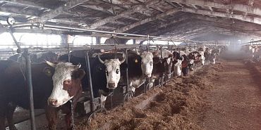 Профилактический визит Россельхознадзора завершился выдачей предписания