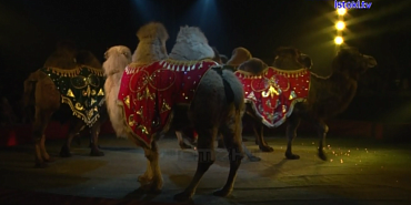 «Цирк Крокус» отыграл в Орле своё дебютное выступление в рамках этого тура