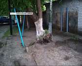 Поваленные деревья, оборванные провода: на Орел обрушилась гроза с порывистым ветром