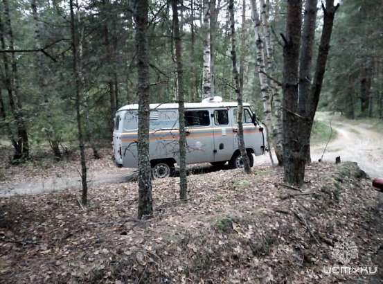 В Орловской области трое суток искали пенсионерку-грибницу