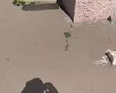 Орловский фельдшер пожаловался на простаивающие машины скорой помощи