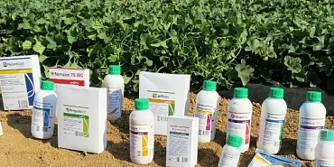 В Орловской области выявлено 47 нарушений регламентов применения химпрепаратов