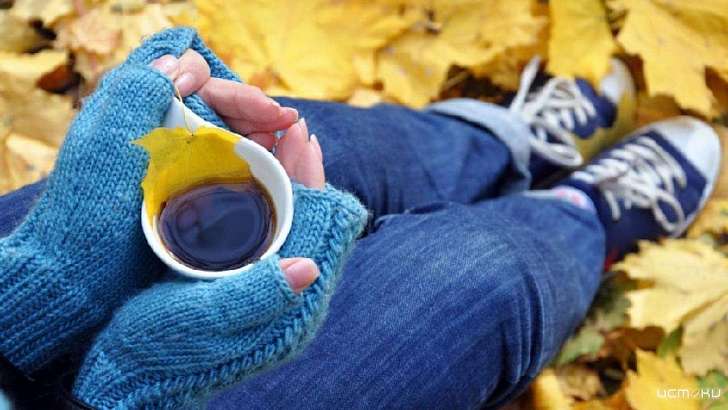 Во вторник в Орле будет пасмурно и холодно