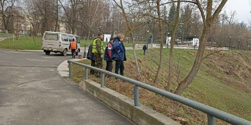 Орловская прокуратура нашла виновных в гибели деревьев в горпарке