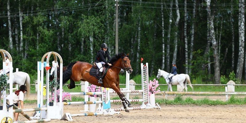 соревнования в Орле В Орле состоится Первенство по конному спорту