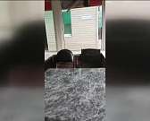 Обед в компании рыжих и усатых: в орловском кафе замечены тараканы