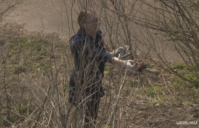 Мужчины уклоняются от субботников чаще женщин. А кто в Орле любит наводить чистоту больше всего?