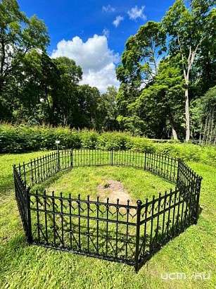 Пять ростков Тургеневского дуба отобрали для зимовки