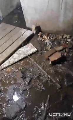 Жители орловской пятиэтажки пожаловались на затопленный подвал