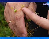 Экспресс - новости: в Орле пройдет традиционная ярмарка меда
