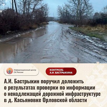 Дело о разбитой дороге в орловской деревне дошло до Бастрыкина