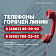 С 18 июня в администрации начинает работу единая горячая линия.