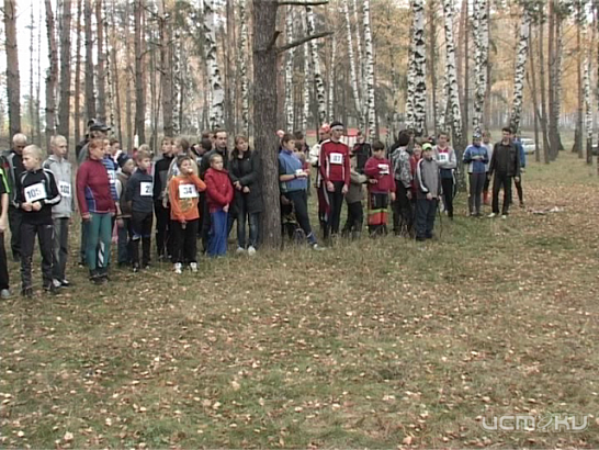 "Золотая осень" для спортивных ориентировщиков 