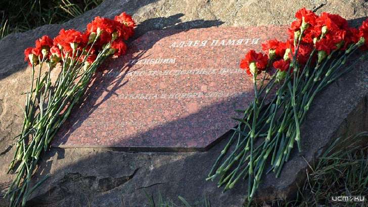 75 человек погибли в ДТП на дорогах Орловщины