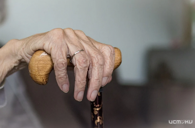 Орловским пенсионерам предложили искать альтернативные источники дохода