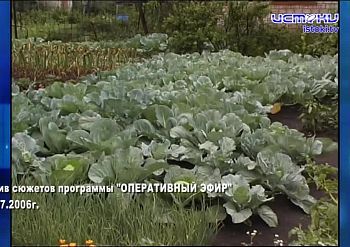 Хорошо забытое старое 19.07.2026