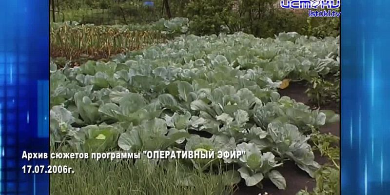 Хорошо забытое старое 19.07.2026