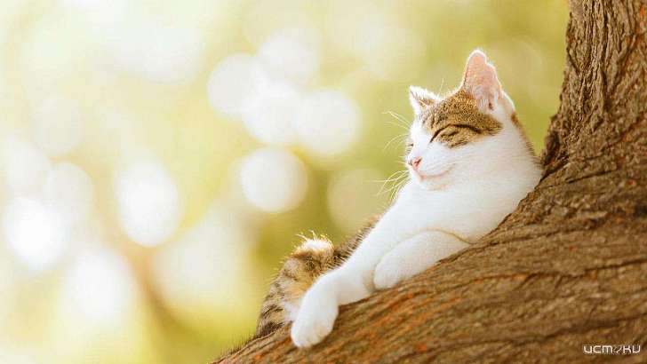 В Орел постепенно возвращается весеннее тепло