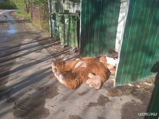 Провал грунта в орловском дворе связали с работой мусоровоза Провал грунта в орловском дворе связали с работой мусоровоза