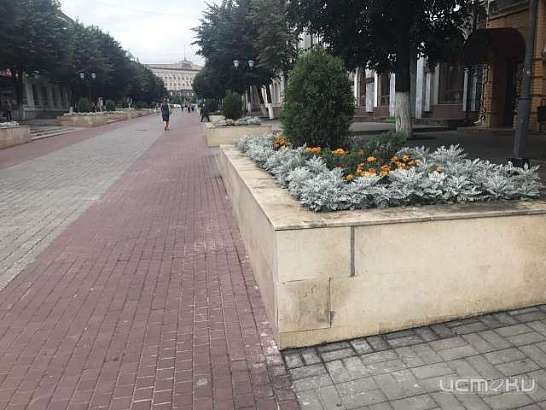 Власти: в Орле плитка на ул. Ленина откололась из-за частых прыжков по клумбам