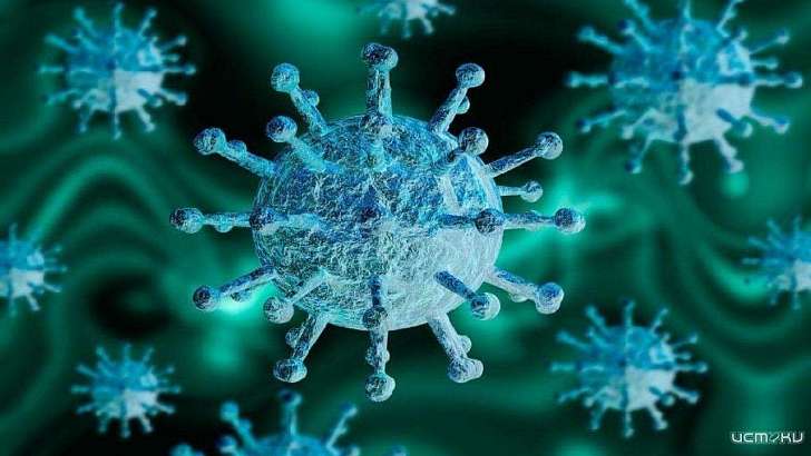 Замалчивают или никак не наладят работу? На Орловщине с трудом просачиваются данные о коронавирусе