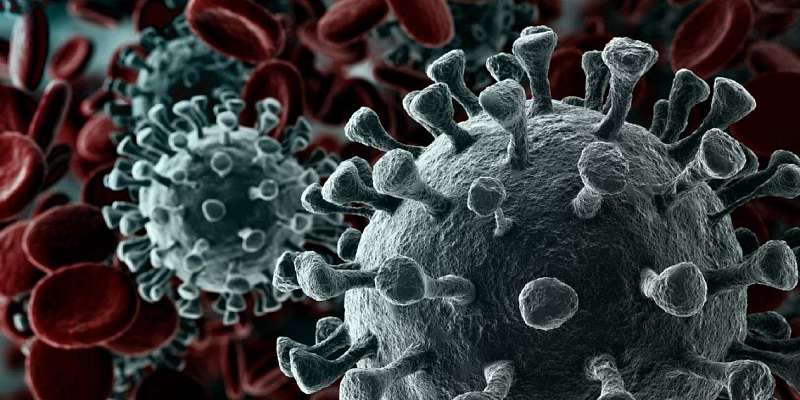 У 6 % протестированных орловчан выявили антитела к коронавирусу