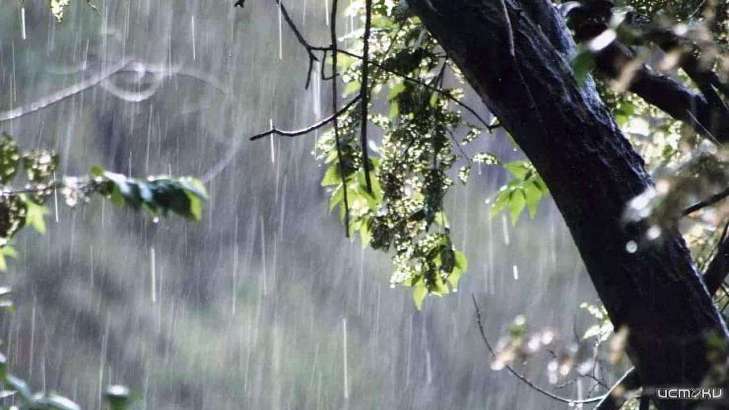 Пасха в Орле выдалась дождливой