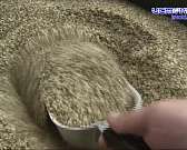 В Орле начали выпускать из семян конопли продукты для здорового питания