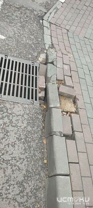 Традиционный конкурс "Истоков" обрел своего нового победителя 