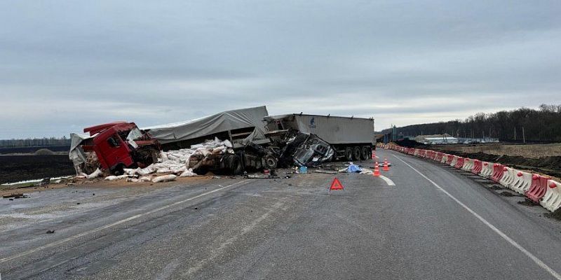 Жуткая авария произошла на трассе под Орлом с двумя грузовиками. Один человек погиб Жуткая авария произошла на трассе под Орлом с двумя грузовиками. Один человек погиб