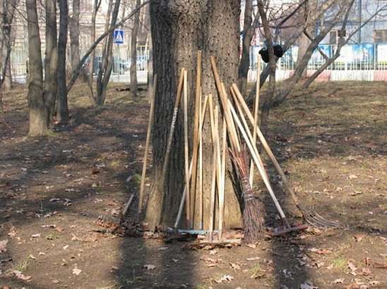 Грядет экологический двухмесячник.