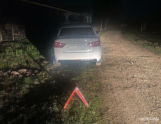 В Орловской области «Лада» задним ходом сбила пенсионерку