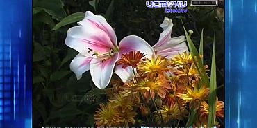 Хорошо забытое старое 10.08.2025