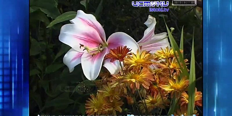 Хорошо забытое старое 10.08.2025