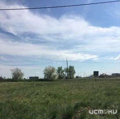 На Орловщине с учёта сняли 8000 «временных» участков