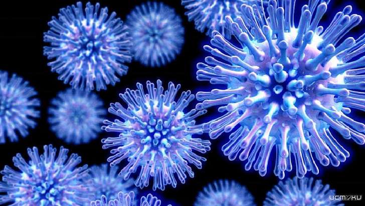 Росстат: на Орловщине больше всего летальных случаев COVID-19 в Черноземье