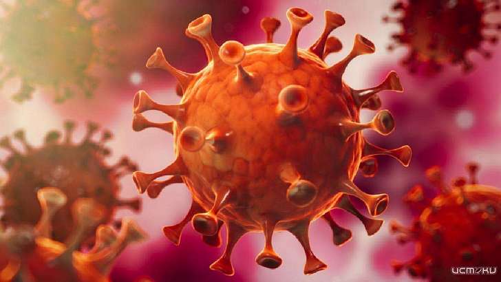 Число больных с диагнозом COVID превысило на Орловщине 19 тысяч