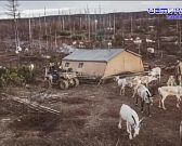 В объективе - событие