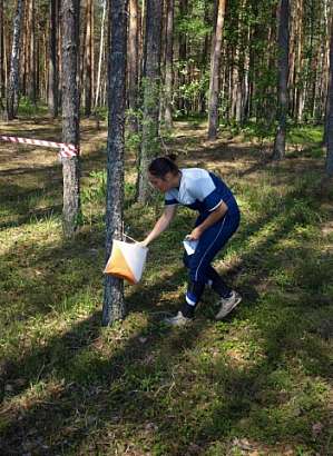 Серебро и бронза наших ориентировщиков