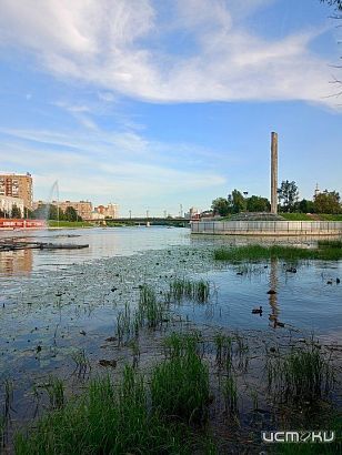 Рекордные просмотры поста определили нового народного корреспондента «Истоков»