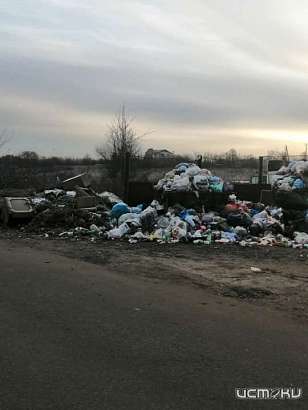 Захламленные контейнерные площадки возмутили жителей поселка Стальной Конь