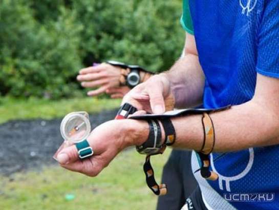 Мы запускаем прямую трансляцию празднования Всемирного дня ориентирования из Медведевского леса